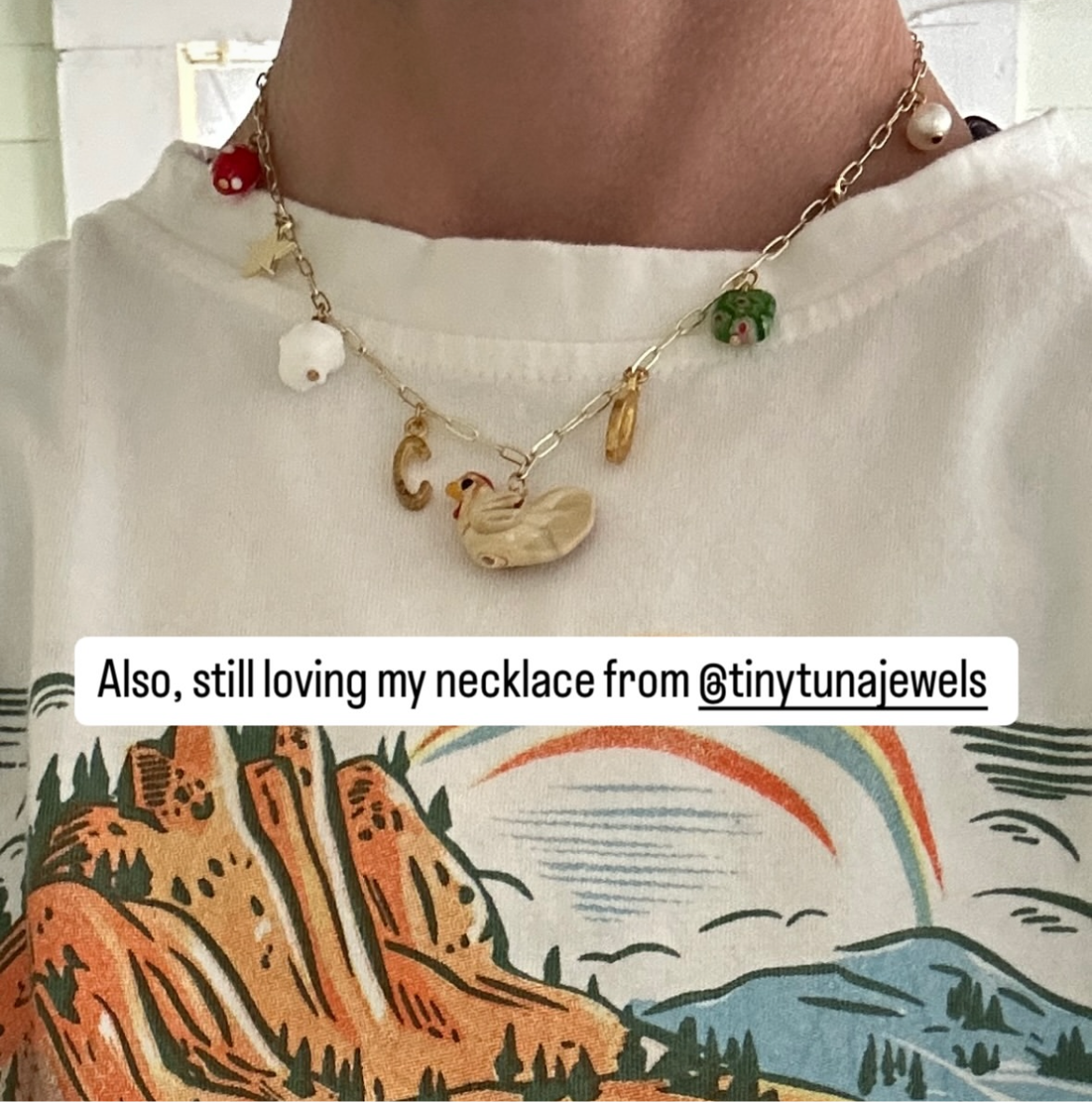 ali’s charm necklace